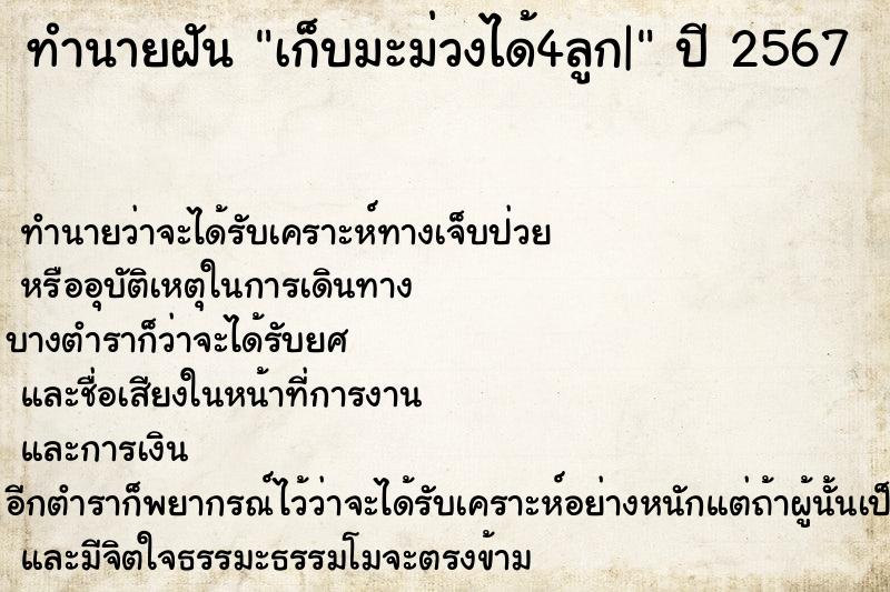 ทำนายฝันทำนายฝันเก็บมะม่วงได้4ลูก|
